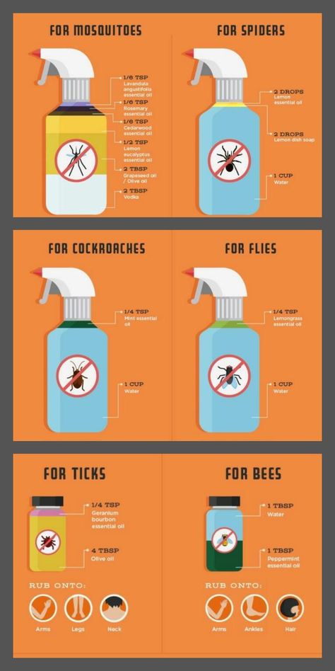 Spider Spray, Insect Repellent Plants, Repellent Diy, Diy Bug Repellent, Spiders Repellent, Diy Mosquito Repellent, Diy Bug Spray, Bug Spray Recipe, Natural Bug Repellent