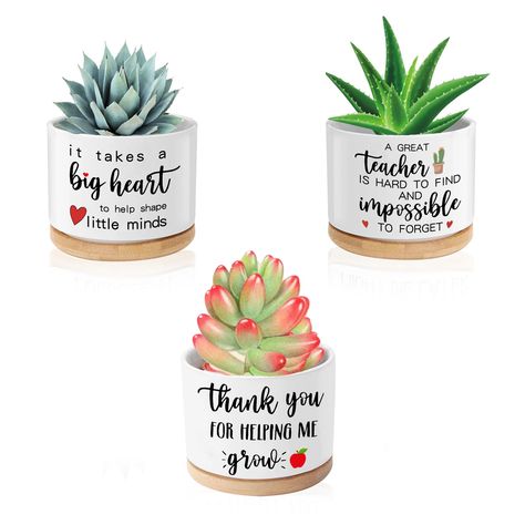 PRICES MAY VARY. 🎀 【 CUTE LITTLE POTS 】- Each funny succulent pot has a fun tagline like " A great teacher is hard to find and impossible to forget ", " It takes a big heart to help shape little minds ", " Thank you for helping me grow ", It is such a meaningful gift set for a teacher. 🎀 【 PREMIUM QUALITY & GIFT BOXED 】- Tsyulog flower pots are hand painted and heat treated with a high quality ceramic paint to hold up against wear and water marks. These super cute plant pots are securely set i Thank You Daycare Teacher Appreciation Gifts, Teacher Appreciation Gifts Mountain Dew, Unique Teacher Appreciation Gifts Zazzle, Fiesta Teacher Gifts, Gifts For A Daycare Teacher, Gift For Retiring Teacher, Thanksgiving Gifts For Teachers, Full Sun Planters, Food Alternatives