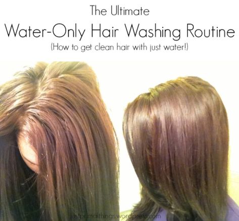 3 Month Update: The Ultimate Water Only Hair Washing Routine – [No Shampoo!] – RESULTS « Just Primal Things No Shampoo Method, Water Only Hair Washing, No Poo Hair, Healthy Reminders, Mens Beauty, No Shampoo, Hair Washing Routine, Oily Roots, Hello Hair