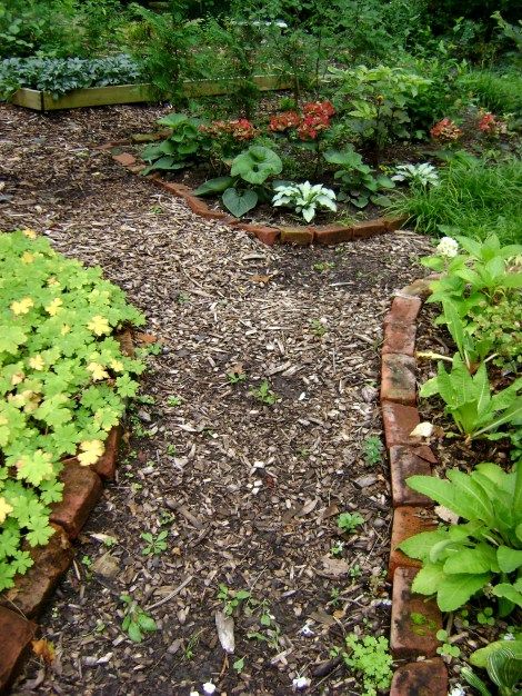 Cedar mulch path.  Like the brick border to give structure. Mulch Garden Pathways, Bark Landscaping, Mulch Ideas, Lawn Free Yard, Backyard Path, Garden Bark, Wooded Backyard Landscape, Cedar Mulch, Creek Life