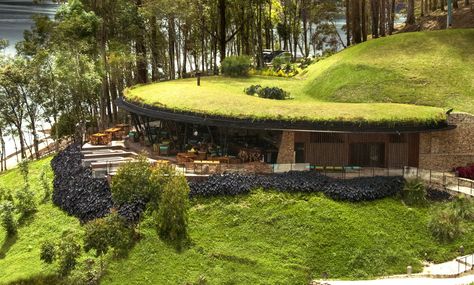 Green Roof House, Earth Sheltered Homes, Casa Hobbit, Grass Roof, Old Homes, Earthship Home, Earth Sheltered, Living Roofs, Eco Architecture