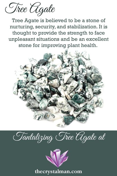 Tree Agate Properties, Tree Agate Meaning, Types Of Agate, Stone Meanings, Chakras Crystals, Crystals Meanings, Crystal Information, Natural Philosophy, Earth Gift