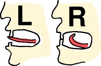 /R/ and /L/ tongue placement visual for kids American Pronunciation, Speech Therapy Activities Articulation, Sequencing Activities Kindergarten, Oral Motor Activities, Speech Therapy Tools, Educational Activities For Preschoolers, Speech Articulation, Speech Language Activities, Slp Activities