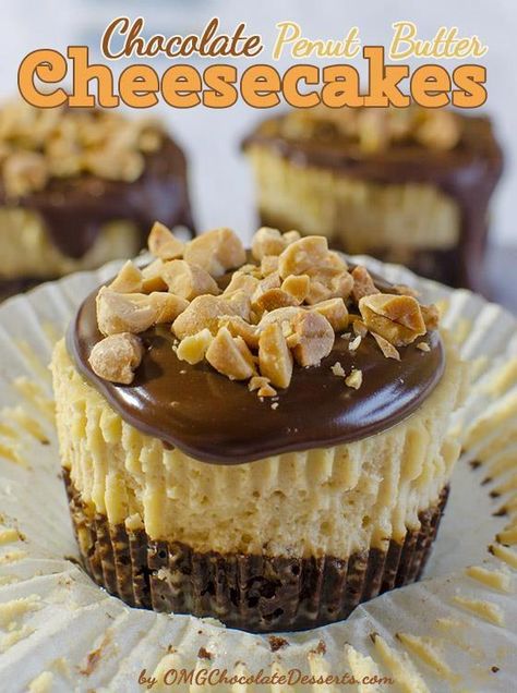 Mini Chocolate Peanut Butter Cheesecakes #chocolatecheesecake Dessert Halloween, Chocolate Peanut Butter Cheesecake, Peanut Butter Cheesecake, Mary Berry, Mini Cheesecakes, Chocolate Cheesecake, Yummy Sweets, Food Cakes, Mini Desserts