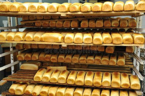 Bakery Factory, Bread Factory, Bread Bakery, Food Factory, Bakery Food, Bakery Products, Fresh Products, Food Production, Dark Kitchen