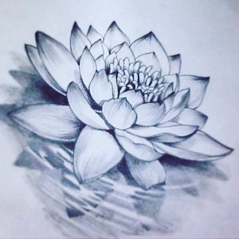 Lotus flower Tato Mandala, Wildflowers Tattoo, Lotusblume Tattoo, Lotus Flower Drawing, Water Lily Tattoos, Lotus Drawing, Lily Tattoo Design, Water Tattoo, Shape Tattoo