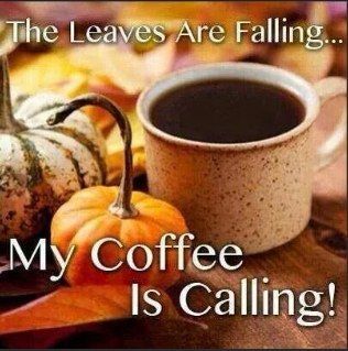 Saturday Coffee, Coffee Quotes Morning, Coffee Facts, Coffee Barista, Brewing Equipment, Local Coffee Shop, Autumn Quotes, Good Morning Coffee, Autumn Coffee