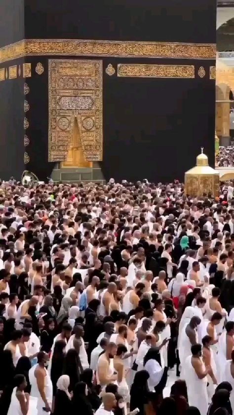 Labaik Allahuma Labaik, Hajj Video, Al Haram, Mekka Islam, Hijrah Islam, Quran Tilawat, Masjid Al Haram, Islamic Nasheed, Muslim Images