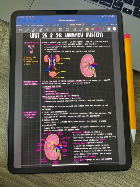 Med School Ipad Notes, Ipad Pro Setup Aesthetic, Med Notes Ipad, Ipad Pencil Ideas, Ipad 11 Pro Aesthetic, Notes In Ipad, How To Take Notes On Ipad, Ipad And Apple Pencil Aesthetic, Goodnotes Notes Ideas Aesthetic