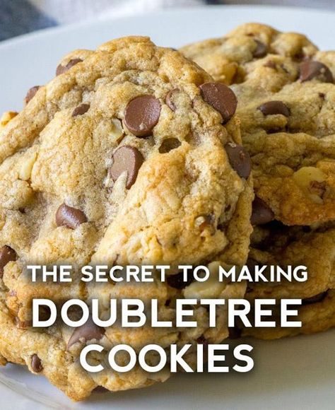 Dusty Old Thing - It’s a dense, chewy cookie that’s... Hotel Chocolate Chip Cookies, Doubletree Chocolate Chip Cookies, Doubletree Cookies, Hotel Chocolate, Bakery Items, Fitness Humor, Cookies Bars, Butter Recipes, Chocolate Cookie Recipes