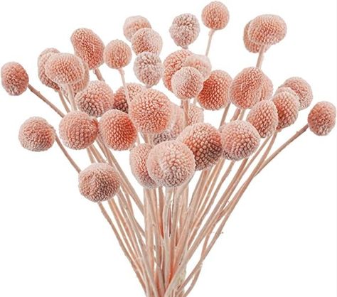 Flowers For Office, Diy Flower Arrangements Wedding, Boho Baby Shower Decorations, Rustic Arrangements, Billy Balls, Dried Lavender Flowers, Billy Buttons, Orchid Arrangements, Wedding Pink