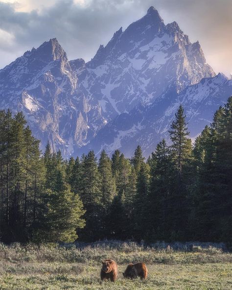 Grand Teton National Park.  Rob Phillips Photography. The National Parks Band, Us National Parks Photography, Glacier National Park Aesthetic, Summer Mountain Aesthetic, Yellowstone National Park Aesthetic, Rocky Mountain National Park Photography, Forest Mountain Landscape, Yellowstone Winter, Montana Photography