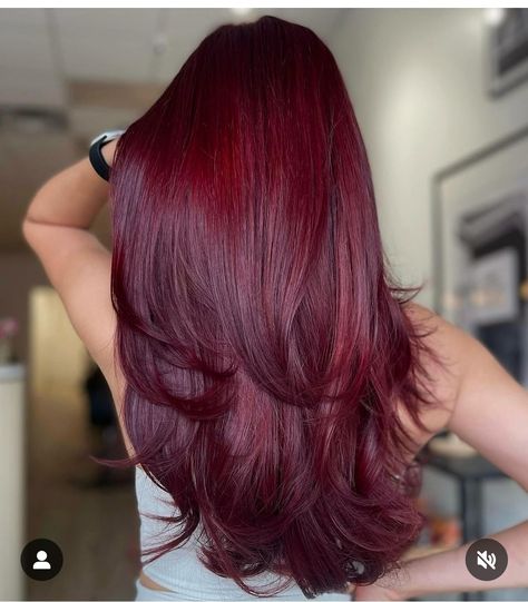 Blonde Face Framing Highlights Red Hair, Cherry Red Hair With Money Pieces, Cheery Red Hair Colour, Hair Cuts And Color Ideas, Mulberry Hair, Autumn Highlights, Fall Red Hair, Cherry Cola Hair Color, Cherry Cola Hair