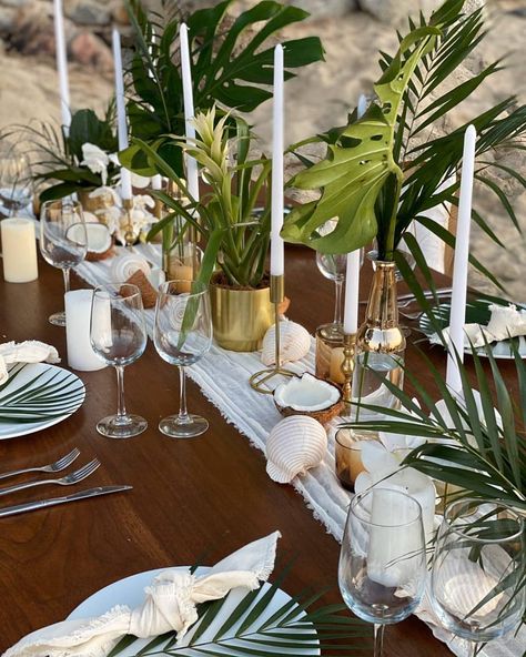 Coconut Table Setting, Tropical Christmas Table Decor, Modern Table Scape, Coconut Table Decor, Tropical Table Scape, Wedding Table Tropical, Live Plant Centerpieces, Tropical Dinner Party, Table Scaping