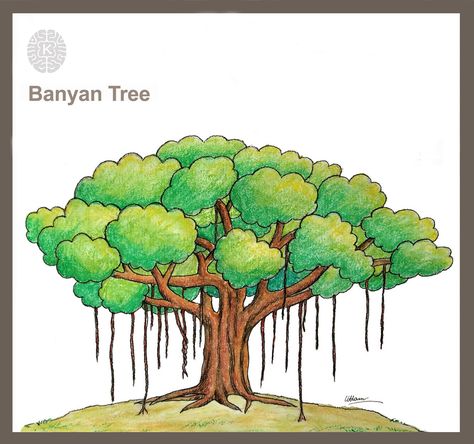 In this video I show you how to draw easy different a Banyan tree / banian tree drawing. In this technique is easy to make drawing for you. Hope you like it. Narra Tree Philippines Drawing, Banyan Tree Tattoo, Banyan Tree Drawing, Easy Tree Drawing, Tree Drawing For Kids, Symbols Drawing, Family Tree For Kids, Tree Drawing Simple, Drawing Topics