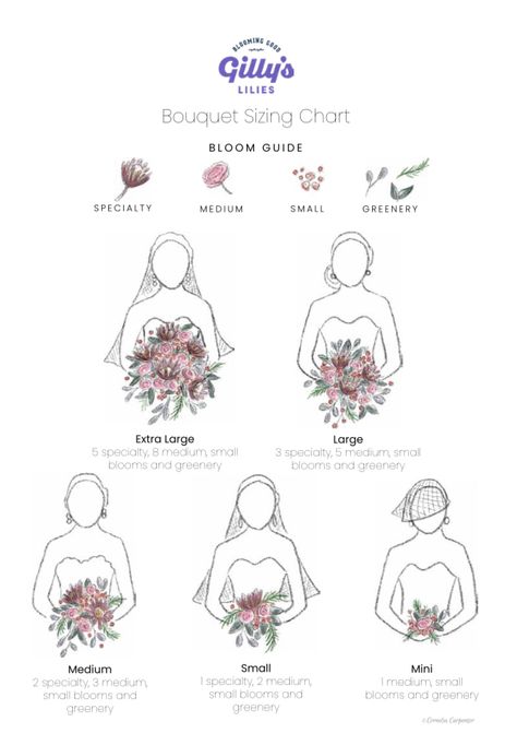 Illustrated watercolor bouquet size chart. By Cornelia Carpenter for Gilly’s Lilies. Colorful Wedding Flower Bouquets, Basic Flower Bouquet, Wedding Bouquets Fresh Flowers, Different Styles Of Bridal Bouquets, Wedding Bouquet Sizes Chart, Bridal Bouquet Shapes Guide, Elegant Wedding Bouquet Ideas, Bridal Bouquet Sizes, Unique Bride Bouquet