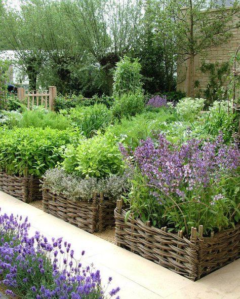 Raised Bed Herb Garden, Herb Garden Planter, Outdoor Herb Garden, Herb Gardens, Herb Garden Design, Garden Vines, Vegetable Garden Design, Garden Care, Chelsea Flower Show