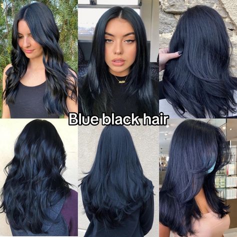 Navy Hair Color Midnight Blue, Dark Blue Hair On Black Hair, Blue Black Curly Hair Natural, Black Tinted Hair, Black Blueish Hair, Midnight Black Hair Color, Hair Color Ideas Blue Black, Black Blue Undertone Hair, Bleach Placement Hair