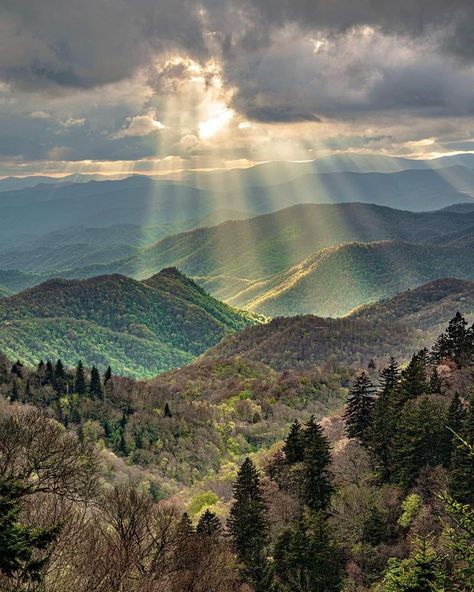 Cowboy Quotes | The biggest mistake we make in life is thinking we have time. American National Parks, Scenery Pictures, Mountain Travel, Appalachian Mountains, Great Smoky Mountains National Park, Blue Ridge Parkway, Smoky Mountain National Park, Blue Ridge Mountains, Great Smoky Mountains