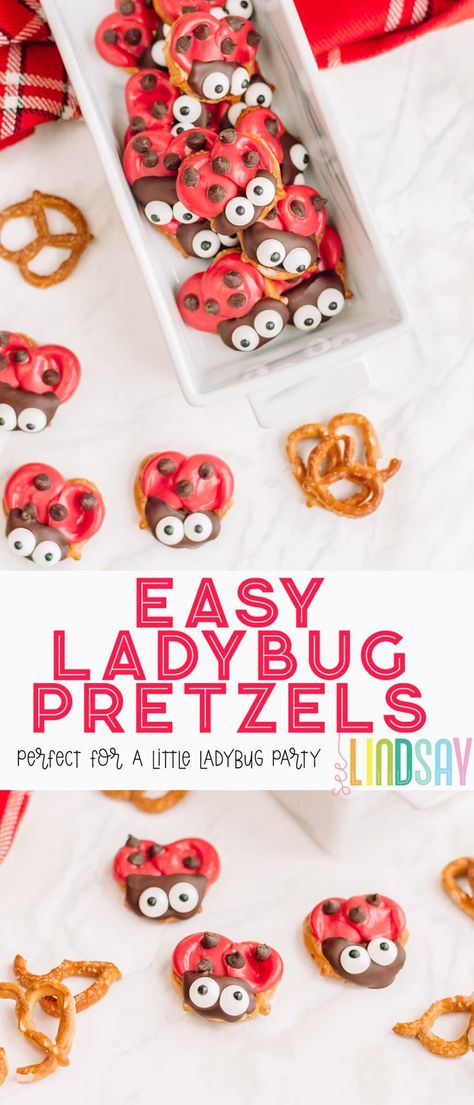 Miraculous Party Food, Miraculous Ladybug Party Snacks, Ladybug Snacks Preschool, Lovebug Birthday Party, Lady Bug Themed Party Food, Ladybug Theme Party 1st Birthdays, Ladybug Themed Birthday, Bug Themed Birthday Party Food, Ladybug Food Ideas