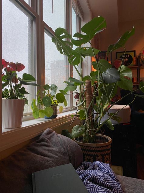 Cosy Nyc Apartment, Rainy Apartment Aesthetic Night, Loft Apartment Plant Aesthetic, Comfy Apartment, Cozy Bedroom Aesthetic Rainy Day, Cozy Plant Bedroom Pots & Planters, Apartment Cozy, Home Plants, Cozy Apartment