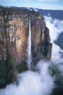 paradise falls. SOUTH AMERICA... The falls that where used in the movie Up. Angel Falls Venezuela, Monte Roraima, Mount Roraima, Angel Falls, Paradise Falls, Famous Waterfalls, Air Terjun, Have Inspiration, Les Cascades