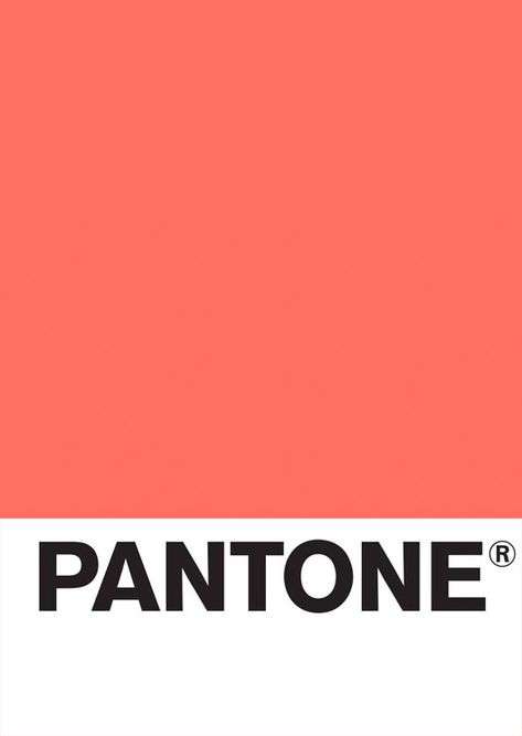 Replace everything: Pantone announces its Color of the Year for 2019 - Fashion Journal Terracotta Interior Design, Coral Pantone, Lily Bouquets, Coral Colour Palette, Pantone Universe, Flower Gallery, Wedding Color Pallet, Coral Colour, Fashion Journal