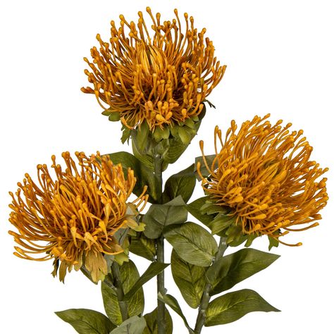 PRICES MAY VARY. 💐✨【Package】Total 3 pieces come in a pack. Artificial leucospermum cordifolium fall flower total height -- 28 inches. Each one flower head approx 4.3 inches in diameter. Long stem will look beautiful in a big floor vase or tall jar, and it is made of metal and plastic, if the stem is too long for your vase, You can bend or cut them to adjust the size as needed. 🌷✨【Material】Autumn faux chrysanthemum flowers leaves are made of high-quality silk and flower petals are made with stu Spider Mum Flower, Flowers For Office, Big Floor Vases, Mum Flower, Dying Flowers, Spider Mums, Bouquet Home Decor, Mums Flowers, Artificial Pumpkins