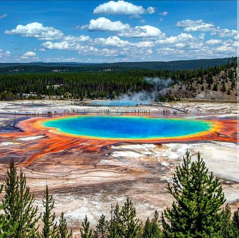 Grand prismatic spring Yellowstone National Park Vacation, Grand Prismatic Spring, Grand Prismatic, Hiking Places, Wyoming Travel, Dream Pictures, National Park Vacation, Mountain Photos, Nature Park