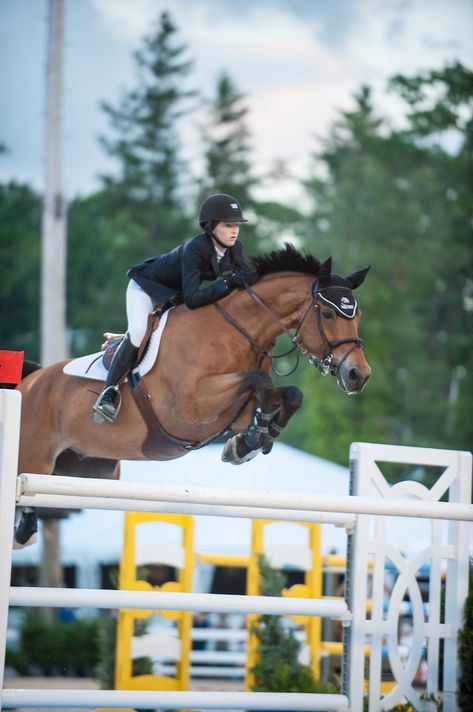 Five athletes have been chosen to represent Team USA for the latest FEI Jumping Nations Cup™ competition in Ireland. #Tryon2018 Show Jumping Horses, Equestrian Helmet, English Riding, Equestrian Lifestyle, Horse Blankets, Equestrian Life, Horse Jumping, Horse Life, Horse Training