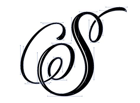 Letter S script lettering bezier curves by Vini Vieira S Calligraphy Letter Capital, S Script Letter, Letter S In Different Fonts, S Letter Drawing Art, S Cursive Letter, Letter S Cursive, S Letter Calligraphy, S In Different Fonts, S In Calligraphy