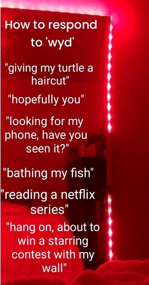 Idk How To Respond To That, What To Say When Someone Says Wyd Funny, Funny Reply To Wyd, Best Responses For Wyd, Responses To We Have A Problem, Ways To Reply To Wyd, Funny Things To Say To Wyd, How To Respond To What Are You Doing Funny, Funny Ways To Respond To Texts