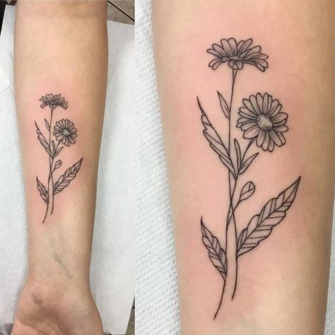 Top 53+ Best Aster Flower Tattoo Ideas - [2021 Inspiration Guide] Aster Forearm Tattoo, Aster Tattoos For Women, Goldenrod And Aster Tattoo, Aster Flower Bouquet Tattoo, Asher Flower Tattoo, Aster And Daffodil Tattoo, Aster Flower Tattoo With Name, Aster Bouquet Tattoo, Small Aster Flower Tattoo