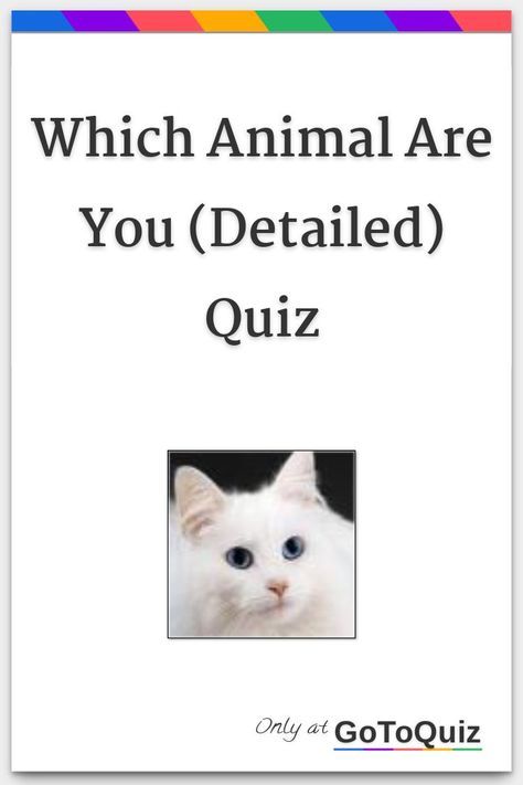 Which Animal Are You Quiz, Am I A Therian Quiz, Which Animal Are You, Animal Generator, What Animal Am I, What Is My Spirit Animal, Spirit Animal Test, What's My Spirit Animal, Animal Types