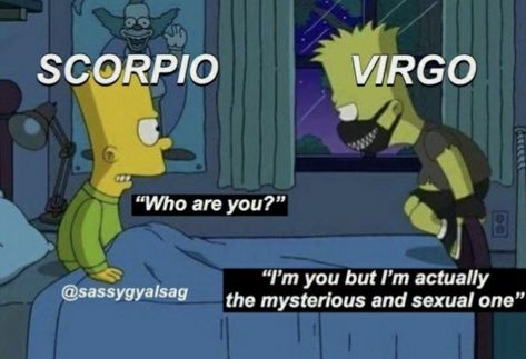 Funny Virgo Quotes, Virgo Personality, Virgo Memes, Virgo And Scorpio, Virgo Traits, Zodiac Signs Chart, Virgo Love, Virgo Quotes, Zodiac Signs Virgo