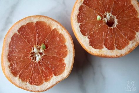 Why I Don't Use Grapefruit Seed Extract Grapefruit Seed Extract Uses, Grapefruit Seed Extract Benefits, Candida Cleanse, Health Facts Food, Grapefruit Seed Extract, Benzalkonium Chloride, Homemade Lotion, Nasal Spray, Grapefruit Essential Oil