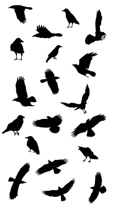 Crows Ravens, Raven Tattoo Ideas, Bird Stencil, Crow Tattoo Ideas, Black Birds, Blackbird Tattoo, Raven Outline. Flying bird stencil Raven Drawing, Raven Silhouette, Black Bird Fly, Rabe Tattoo, Flying Bird Silhouette, Crow Silhouette, Vogel Silhouette, Vogel Tattoo, Black Bird Tattoo