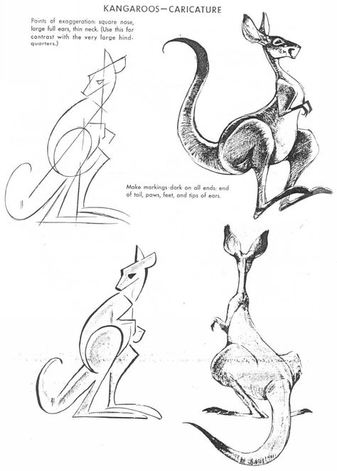 Elements Of Design Form, Drawing Construction, Kangaroo Drawing, Kangaroo Illustration, Animal Design Illustration, Kangaroo Art, Cartoon Tutorial, Elephant Sketch, Cartoon Drawings Of Animals