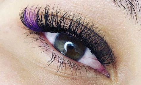 Purple Eyelash Extensions, Coloured Eyelashes, Purple Lash Extensions, Coloured Lash Extensions, Coloured Lashes, Color Eyelash Extensions, Colored Lashes, Natural Fake Eyelashes, Lashes Fake Eyelashes