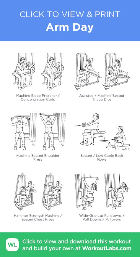 Weight Machine Workout, Planet Fitness Workout Plan, Workoutlabs Fit, Arm Workout Gym, Arm Day Workout, Arm Workout For Beginners, Living Motivation, Workout Labs, Fitness Studio Training