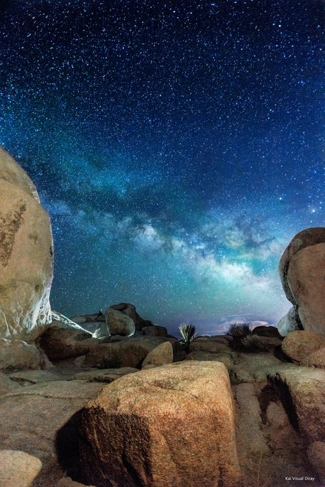 Joshua Tree at night Joshua Tree Camping, National Park California, California National Parks, Joshua Tree National Park, Ways To Travel, Camping Experience, Mahatma Gandhi, California Travel, Joshua Tree