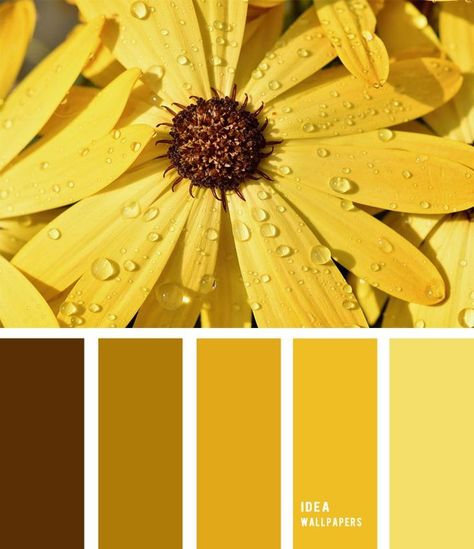 Teal Color Palette, Yellow Color Palette, Yellow Palette, Yellow Colour Scheme, Color Palette Yellow, Hue Color, Brown Color Palette, Yellow Colour, Color Flower