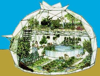 Geodesic greenhouse Yes please! Underground Greenhouse, Geodesic Dome Greenhouse, Casa Hobbit, Dome Greenhouse, Aquaponics System, Entertainment Area, Dome House, Garden Greenhouse, Geodesic Dome