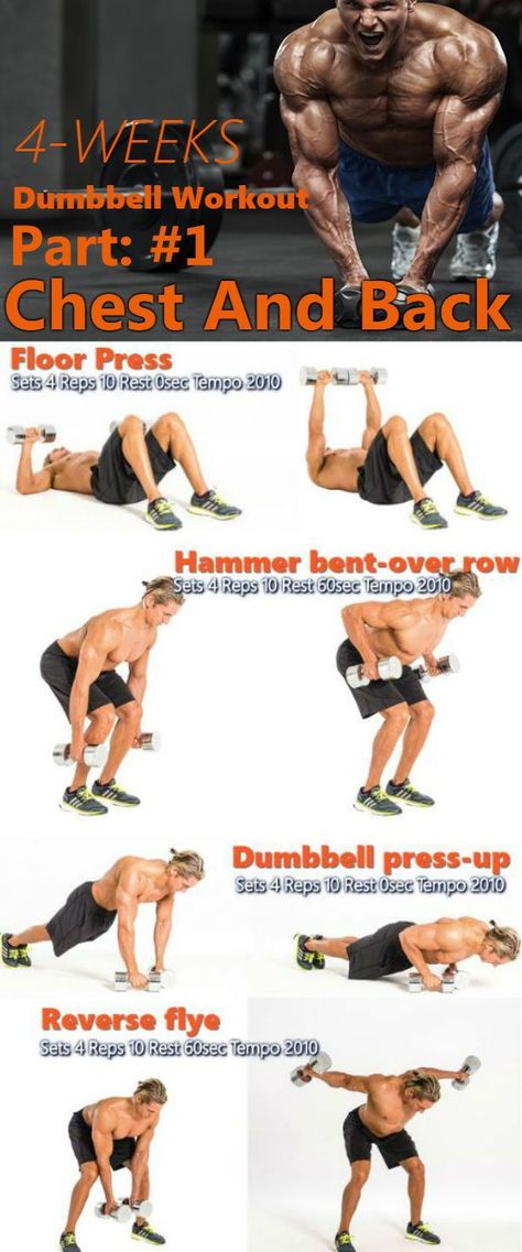 This is a fast paced dumbbell Strength Training program for the back and chest. The dumbbell-only circuit to carve your chest and back in the part 1 of 4 week workout. Just grab a pair of trusty weights to achieve extraordinary results in your upper body. Ideal workout at home - all you need is just a pair of dumbbells. Dumbbell Workout Plan, Chest And Back Workout, Weight Training For Beginners, Weight Training Plan, Chest Workout At Home, Chest Workout For Men, Dumbbell Workouts, Strength Training For Beginners, Weight Training Programs