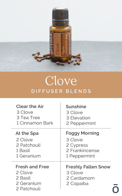 Experience the invigorating scent of Clove essential oil by diffusing it during the fall and winter seasons. For a stimulating diffuser blend, try any of these! Doterra Diffuser Blends, Essential Oil Combinations, Doterra Essential Oils Recipes, Essential Oil Diffuser Blends Recipes, Essential Oil Remedy, Young Living Essential Oils Recipes, Clove Essential Oil, Essential Oils Guide, Essential Oils Cleaning