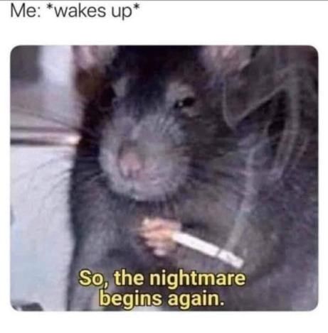 Existential Memes For Pessimists Trying To Figure Out The Meaning Of Life - Memebase - Funny Memes A Rat, Memes