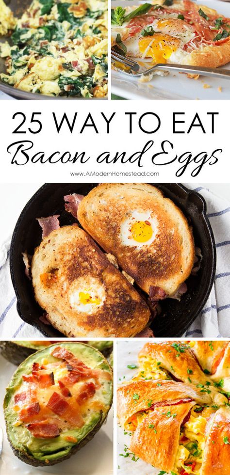 25 ways to eat bacon and eggs. Breakfast ideas that keep you excited to get up in the morning! I love this! Bacon Recipes Breakfast, Bacon Brunch, Bacon Eggs Breakfast, Bacon And Eggs, Best Bacon, Bacon Breakfast, Classic Breakfast, Bacon Recipes, Breakfast Foods