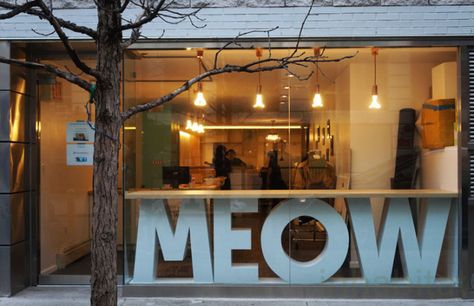 New York City’s First Cat Cafe opens on the LES (PHOTOS) Exterior Cafe Design, Cat Cafe Interior, Cat Cafes, Cafe Nyc, Pet Cafe, Cafe Exterior, Cat Hotel, Pet Market, Dog Cafe