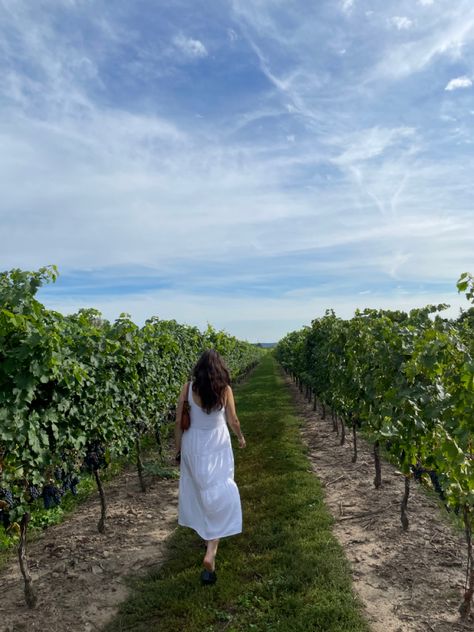 Vineyard Poses Instagram, Small Vineyard Ideas, Aesthetic Winery Outfits, Vineyard Pictures Photo Ideas, Wine Tasting Inspo Pics, Wine Yard Aesthetic, Vineyard Couple Aesthetic, Vineyard Astethic, French Vineyard Aesthetic