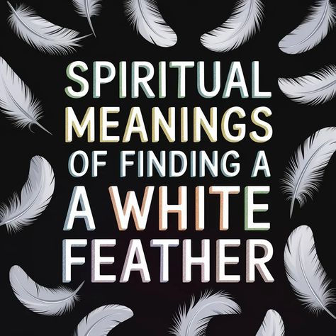 8 Profound Spiritual Meanings of Finding a White Feather Feather Symbolism Meaning, Feather Meaning Symbols Spiritual, White Feather Meaning, Meaning Of Feathers, Finding Feathers, Christian Symbolism, Feather Symbolism, Feather Meaning, Christian Symbols